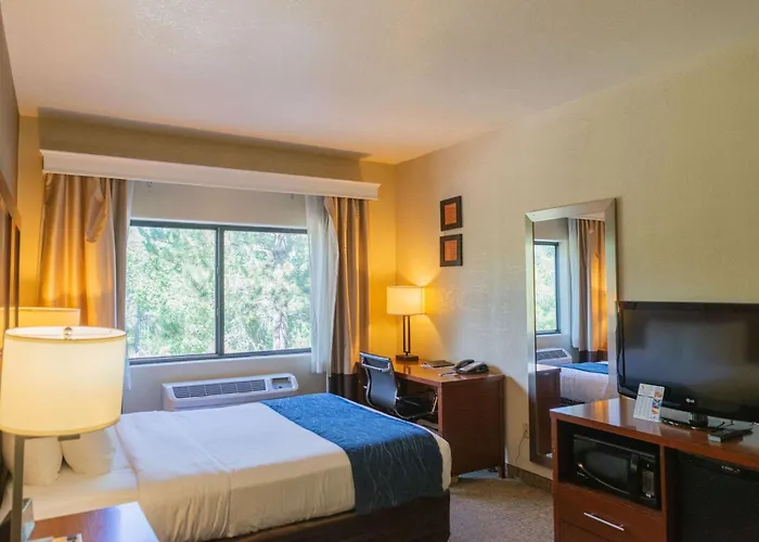 Comfort Inn North Colorado Springs